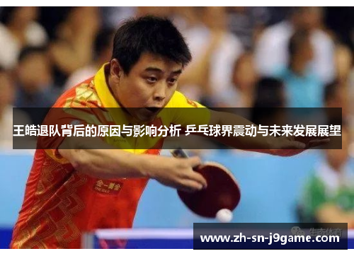 王皓退队背后的原因与影响分析 乒乓球界震动与未来发展展望 王皓退队背后的原因与影响分析 乒乓球界震动与未来发展展望